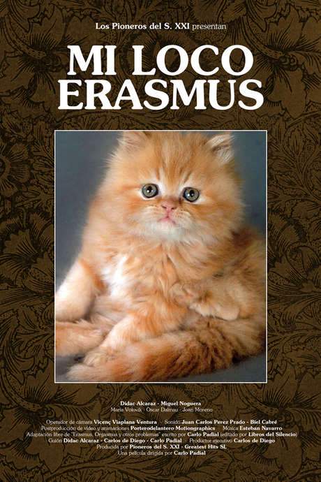 Mi loco erasmus